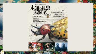 昆虫×AI×音楽の新体験イベント。未知の昆虫を創ろう！